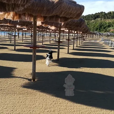 Reale - 3* Ортона